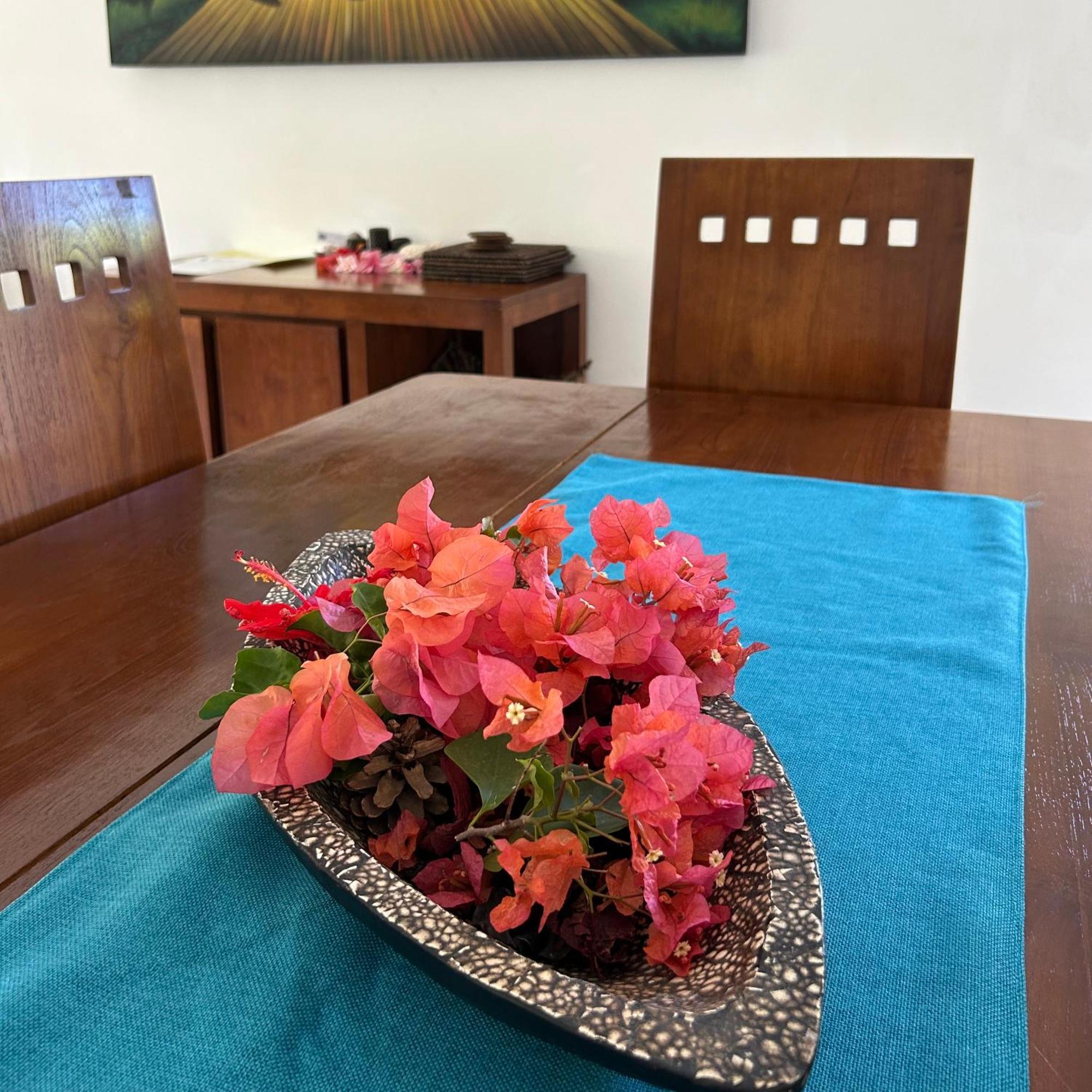 Vilă Casa Tara *