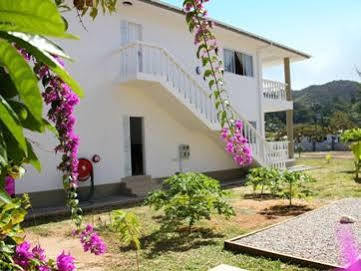 Vilă Casa Tara *